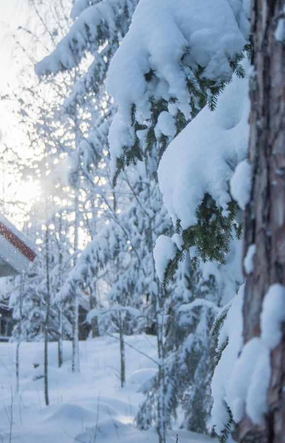 Villa Kurpitsa At Messila Ski & Camping Hollola Екстер'єр фото